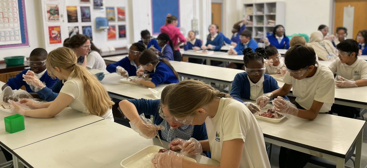 Yew Class tweet media