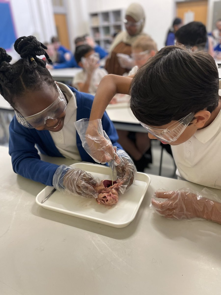 Yew Class tweet media