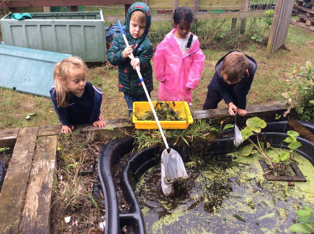 EyfsLakeside's tweet photo. Some wetland forest school photos from this week. We had fun finding lots of newts and pond skaters. https://t.co/YjQskHN5FI