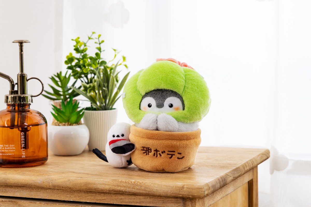 🌵7月21日発売🌵 『邪ボテンになっちゃった!?なぬいぐるみ』 【お