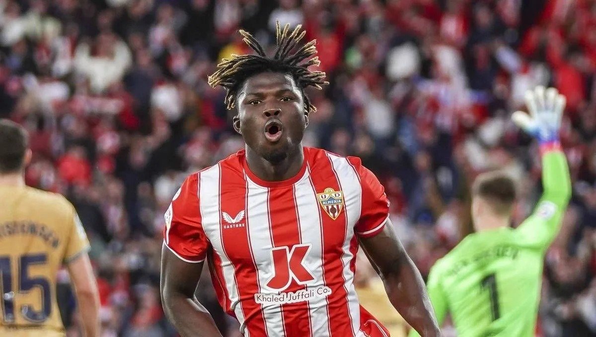 solofichajes123 tweet media