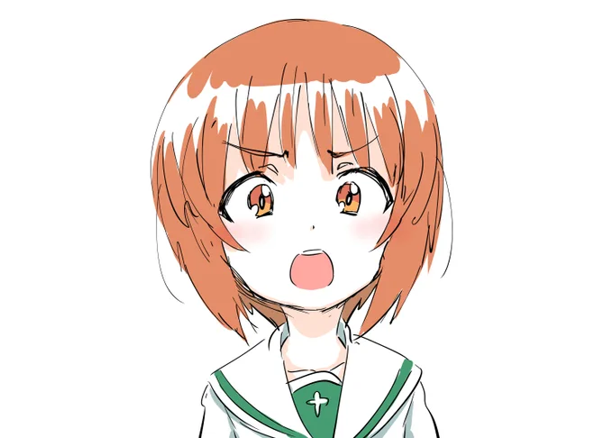 再掲みほ