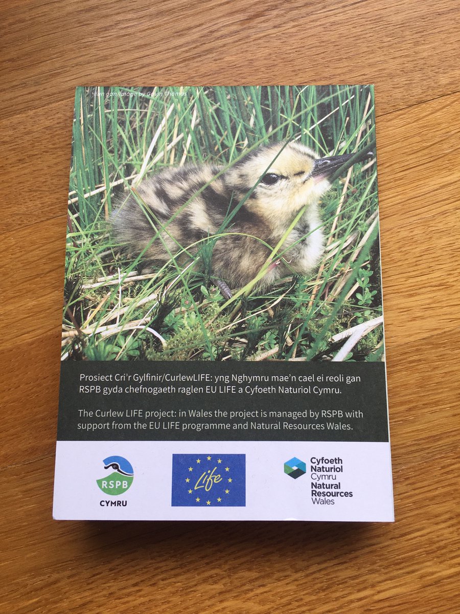 Michelle Clarke tweet media