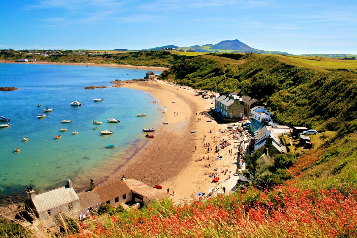 Llelo2801's tweet photo. ‘Porthdinllaen’ 😀🏴󠁧󠁢󠁷󠁬󠁳󠁿
Llun i godi calon ar fora glawog!
Cheer up photo on a rainy morning!
@carolvorders @AledHall @hooson21 @ItsYourWales @Ruth_ITV @bootlegger1974 @StormHour @ThePhotoHour @hawley_caroline @sianharries_ @HCynwal @DerekTheWeather https://t.co/QAROZCtoct
