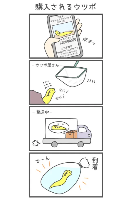 家のウツボを元にしたフィクション四コマ(1/4)