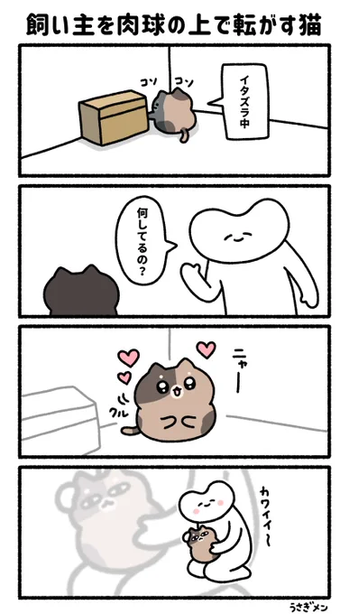 飼い主を肉球の上で転がす猫