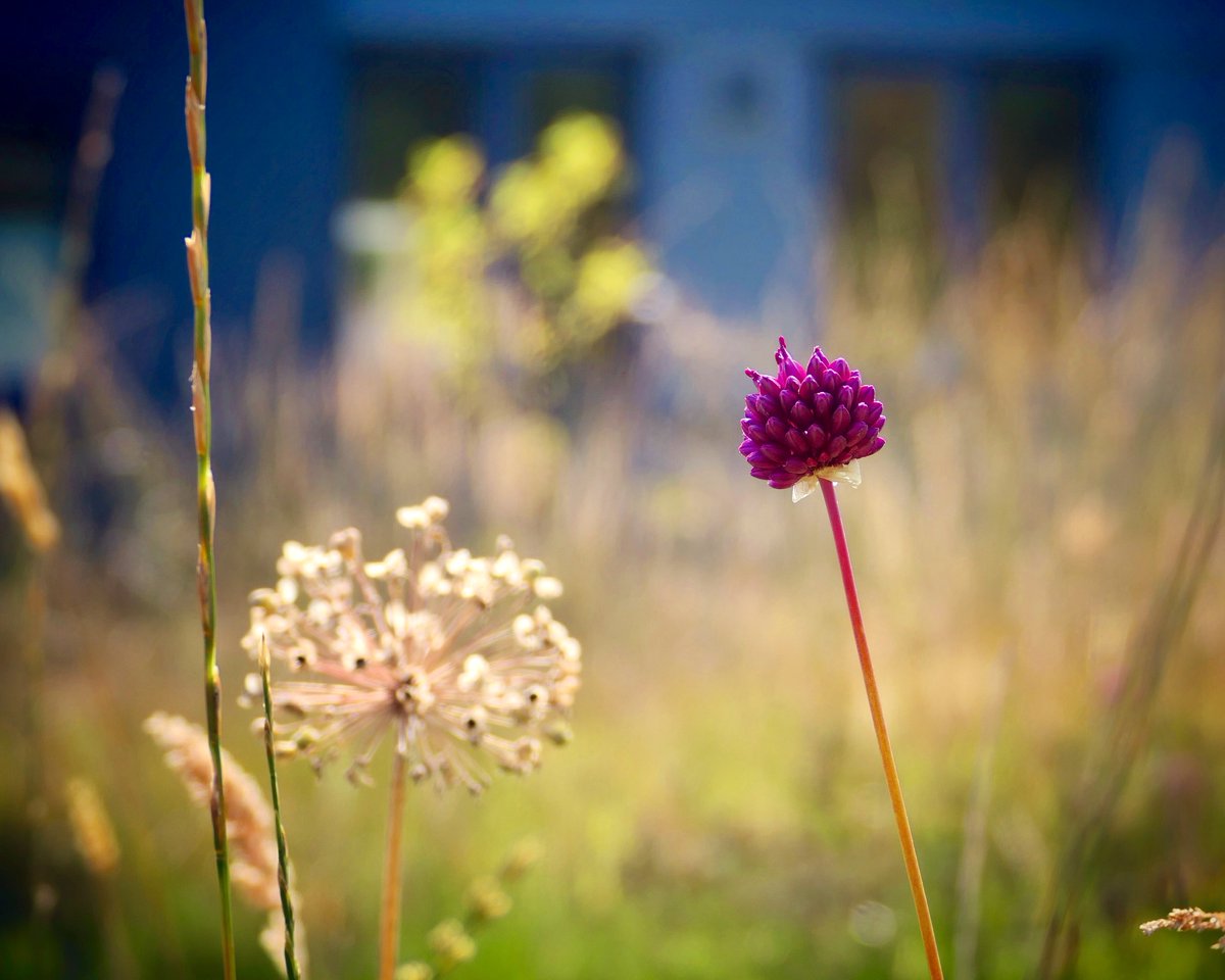 West Point House tweet media