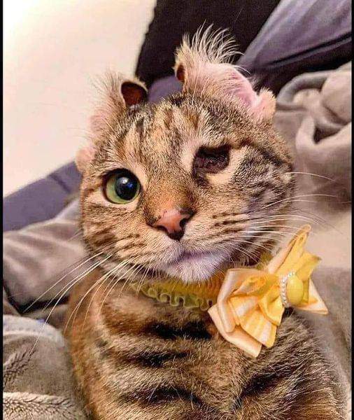 I have been waiting all day long but no has even said HELLO to me