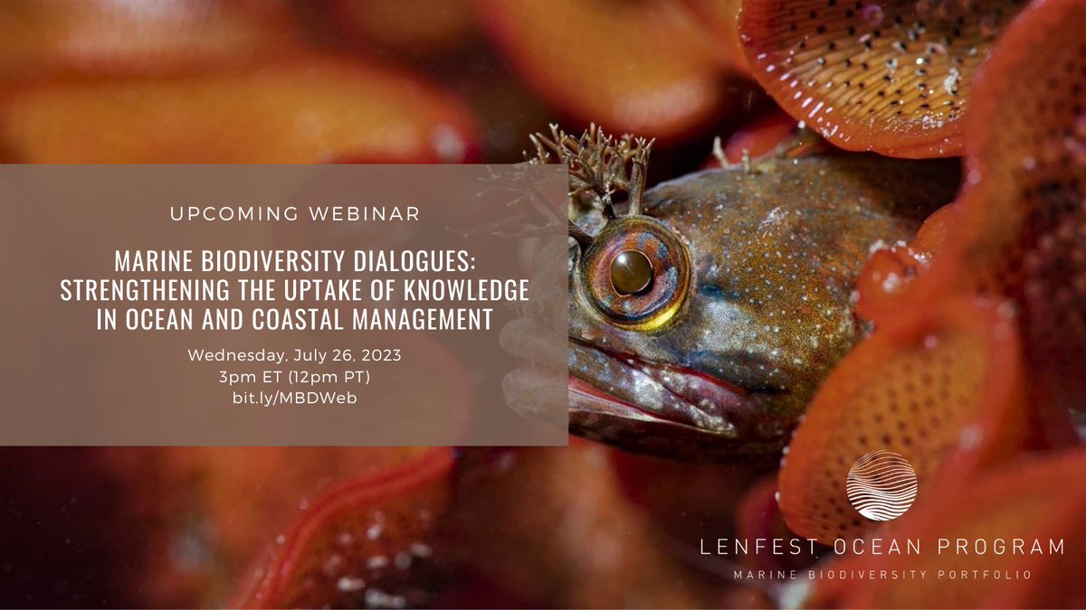 kaylajripple's tweet photo. Join @lenfestocean on July 26 for a roundtable discussion on results from the Marine Biodiversity Dialogues Task Forces I &amp;II for assessing #MarineBiodiversity in the US and ways to include this in planning and designing a network of MPAs: https://t.co/ZhOcsIqB1t

#30x30 https://t.co/iT0EOBAnm7