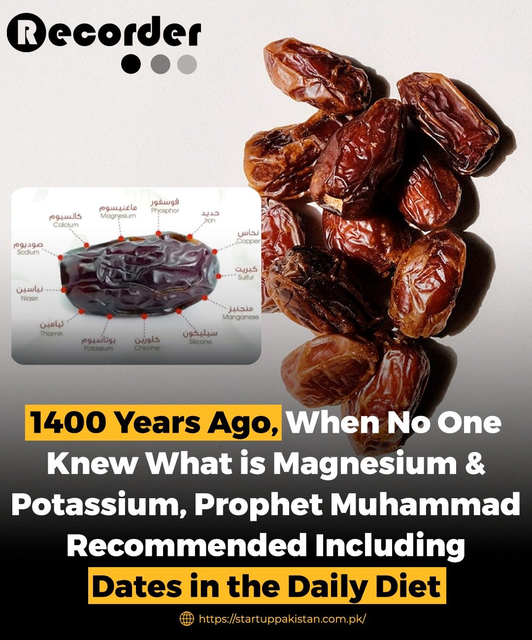 Calcium Rich Foods In Urdu