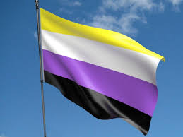 Happy #InternationalNonBinaryPeoplesDay everyone! Sending love to all our NB followers and volunteers. Hope to see you soon!