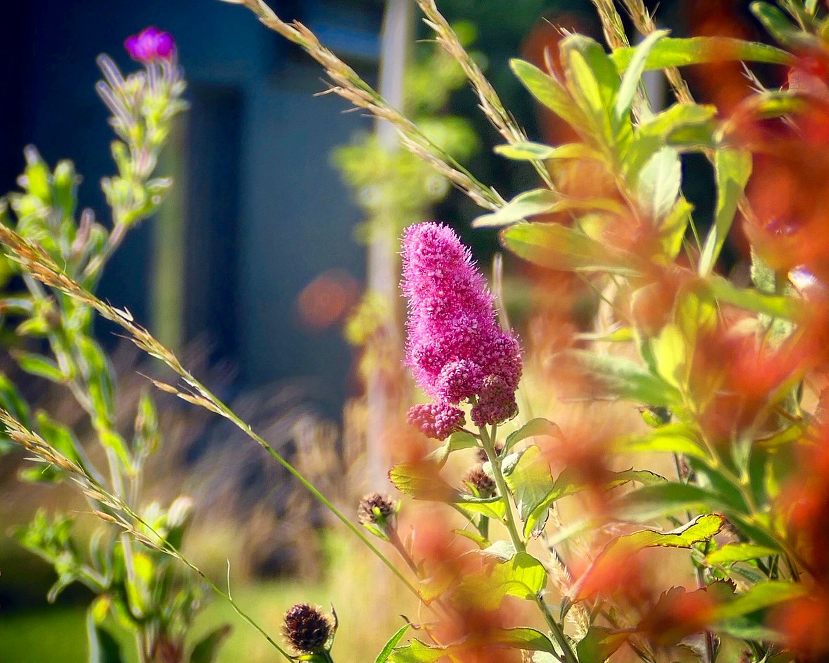 West Point House tweet media