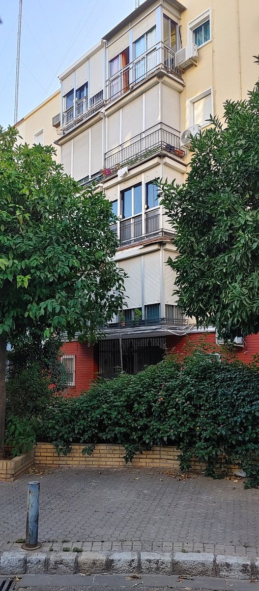 Jose_1999__'s tweet photo. SE BUSCA COMPAÑER@ DE PISO!
📍El plantinar, Sevilla
🗓️Para agosto, o agosto y más meses
🛏️1 habitación libre
☑️A 15 min del metro y campus universitario
✉️MD o Ig: josealvarez_9

#pisosevilla #pisous #pisossevilla #pisosus #habitacionus #queydondeestudiar2023
#habitacionsevilla https://t.co/SssI0XtPbS