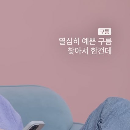 제노 관찰일기🐶 tweet media