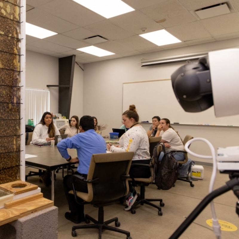 ReolinkTech's tweet image. Arizona State University Beehive Project Powered by Reolink! 🐝
With #ReolinkHighResolution RLC-823A cameras, @ASUTheCollege bee researchers & students learn bee behaviors in stunning 4K details, elevating online education to new heights! 🎓🌟
Cam used: reolink.club/3JWRcb9