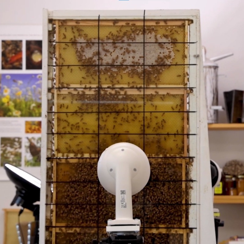 ReolinkTech's tweet image. Arizona State University Beehive Project Powered by Reolink! 🐝
With #ReolinkHighResolution RLC-823A cameras, @ASUTheCollege bee researchers & students learn bee behaviors in stunning 4K details, elevating online education to new heights! 🎓🌟
Cam used: reolink.club/3JWRcb9
