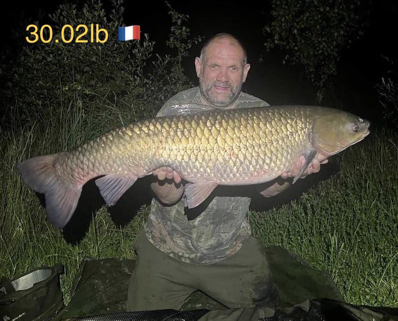 Galaxy Baits tweet media