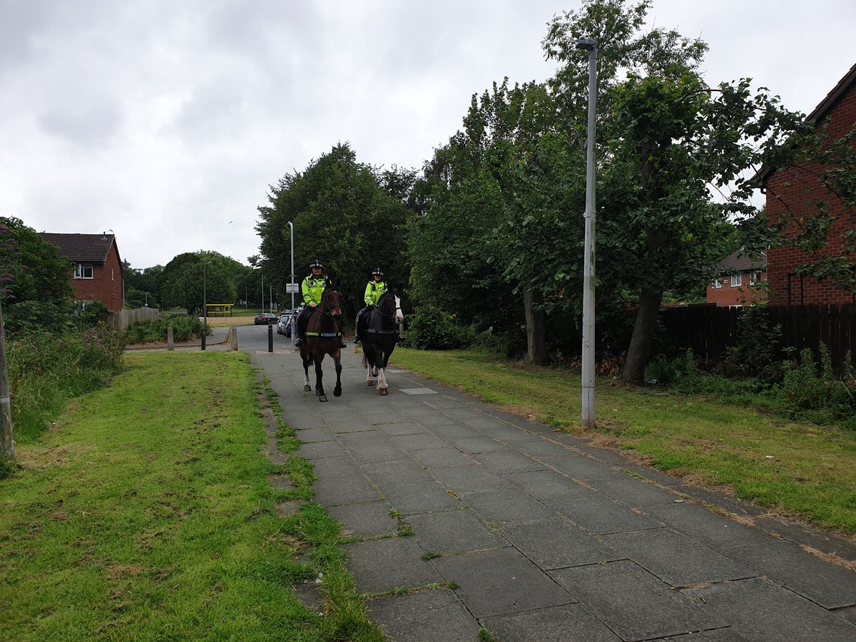 MerPolWirral's tweet image. #PHJake and #PHOxberry from @MerPolMounted are out on patrol around the Woodchurch today kindly assisting #TeamWallasey.

Please stop and say hello if you see them.

#StandTall