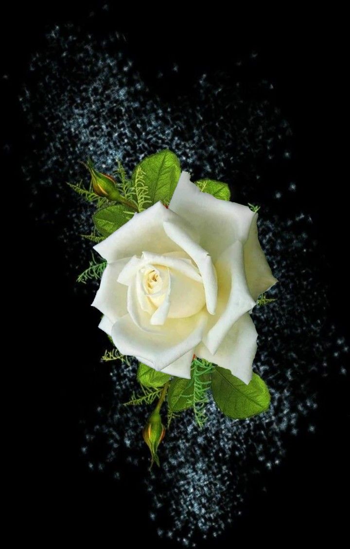 .... pada sabar yang indah, yang tidak ada batasnya. Bukanlah kesabaran jika ada batasnya.... 

Munajat Cinta🤍