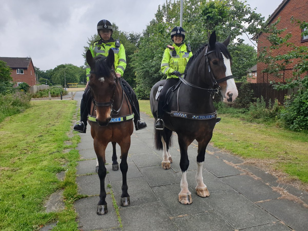 MerPolWirral's tweet image. #PHJake and #PHOxberry from @MerPolMounted are out on patrol around the Woodchurch today kindly assisting #TeamWallasey.

Please stop and say hello if you see them.

#StandTall