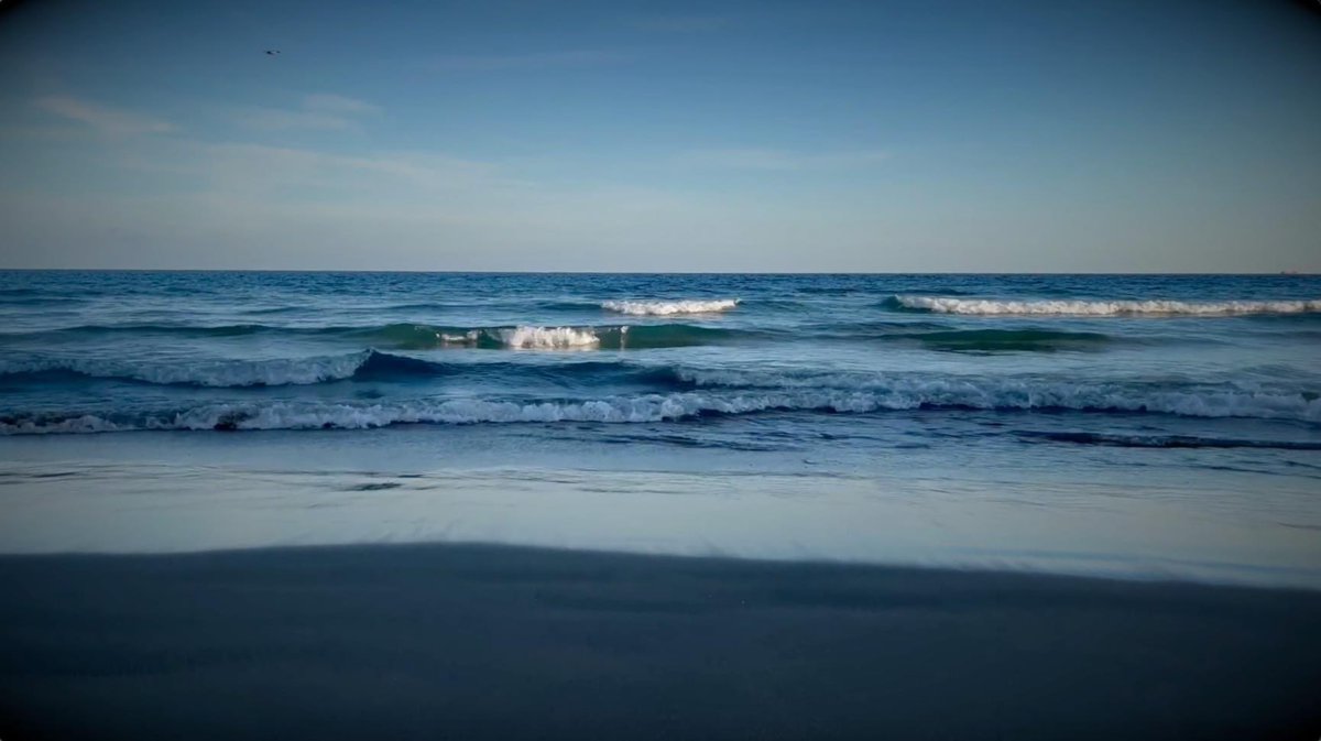 DaniMastrandrea's tweet photo. Non si può contenere la musica.
Essa è come il mare, fluttua e diviene.
Così è l’animo umano in preda alla sua emotività.
Faccio ordine nei pensieri e la musica è come il mare che li placa. 

Limpido e chiaro è finalmente sul mio canale YouTube: https://t.co/D43pJDV9aE https://t.co/MuYLINKxIa