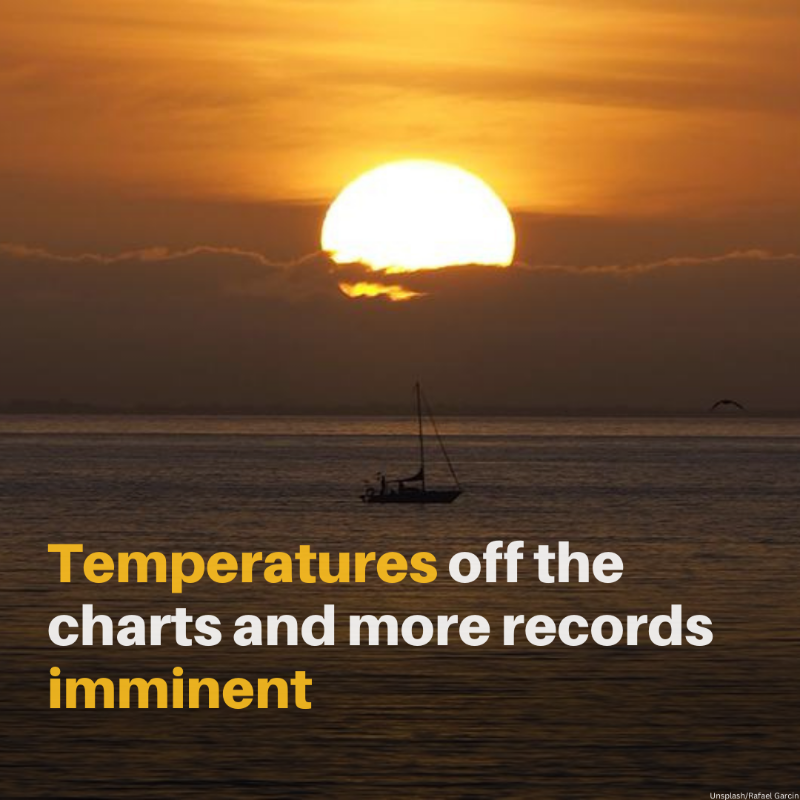 UNEP's tweet photo. Global sea surface temperatures reached a record high in May and June, with the warmest week ever recorded in July.

According to @WMO, the weather pattern is expected to make one of the next five years the warmest on record.