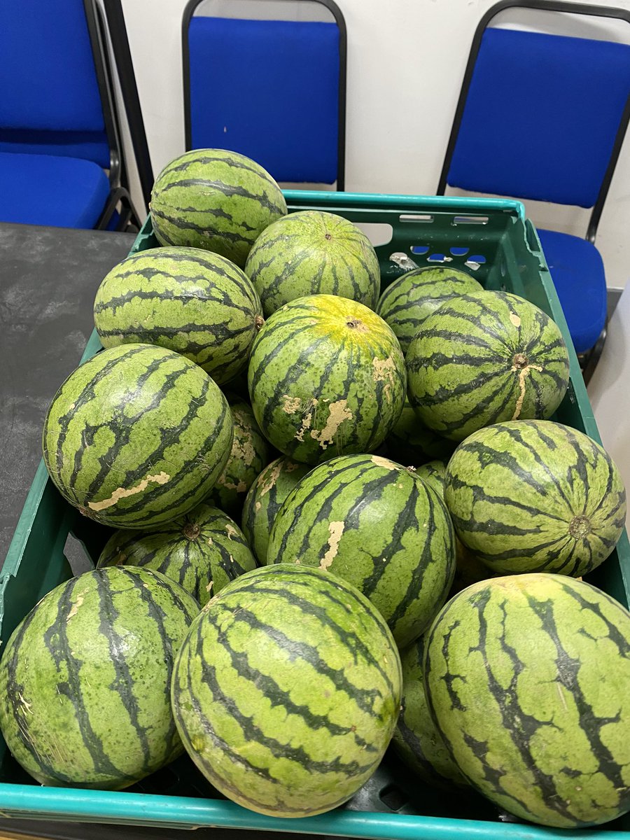 StudentPantryUG's tweet image. We are open today at 1pm with a huge selection of food 🥗 so make sure to pop by and bring a reusable shopping bag🌱

#SDGsIRL #Sustainability #zerowaste #foodwaste #greencampus 
@uniofgalway @FoodCloud @adam_mullins9 @UniOfGalwaySU @GaillimhSustain