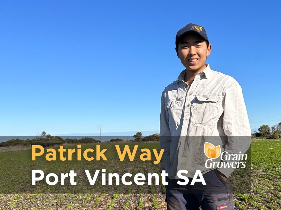 GrainGrowers tweet media