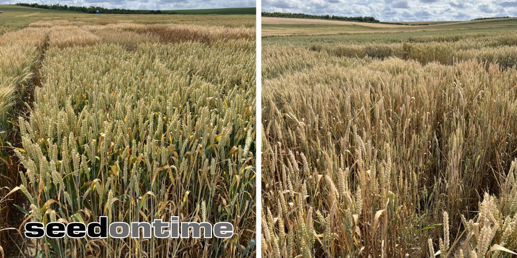 CROPCO tweet media