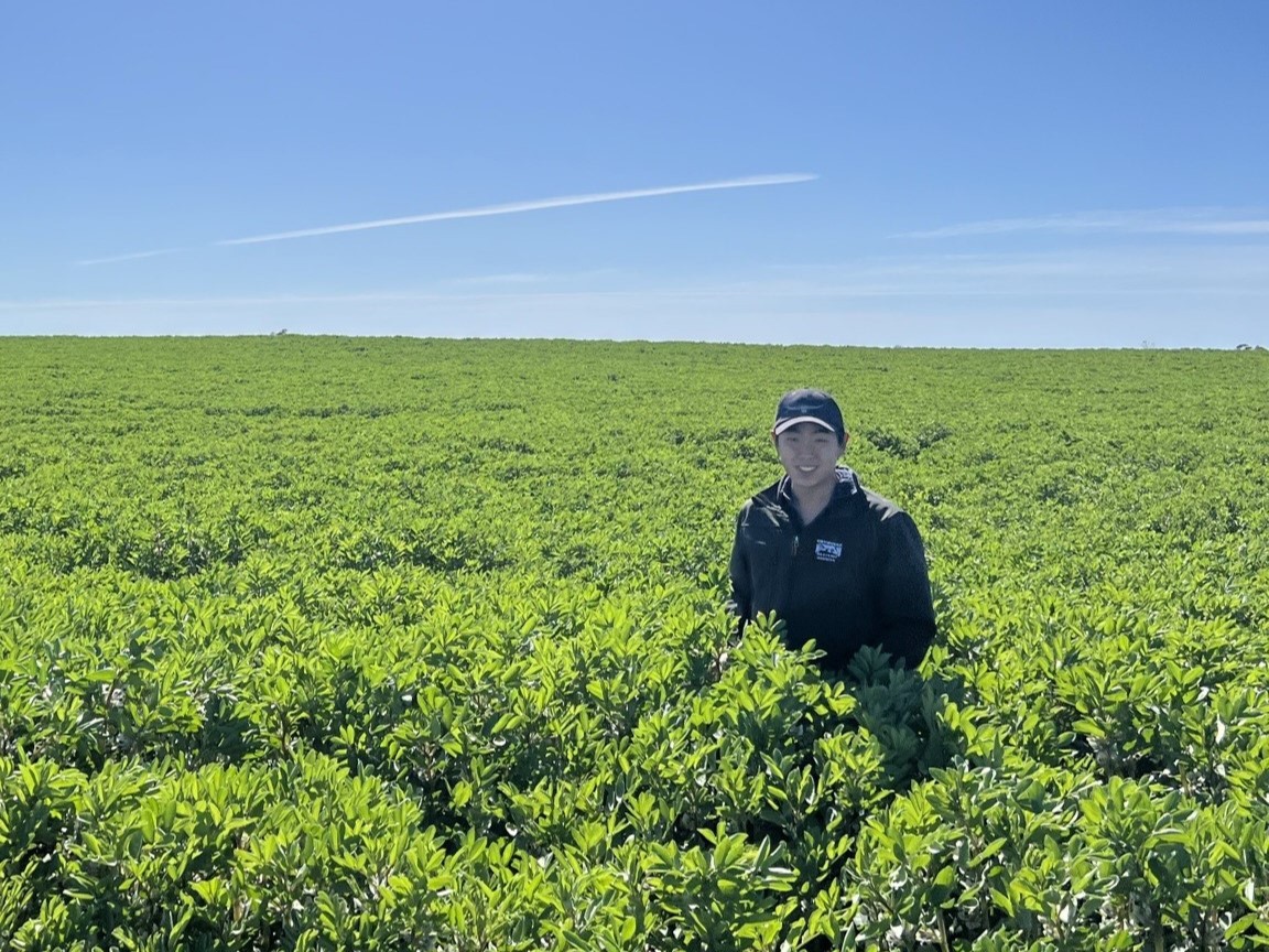 GrainGrowers tweet media