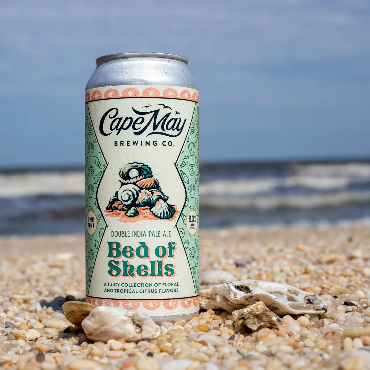 Discover our Newest Brew... - mailchi.mp/capemaybrewery…