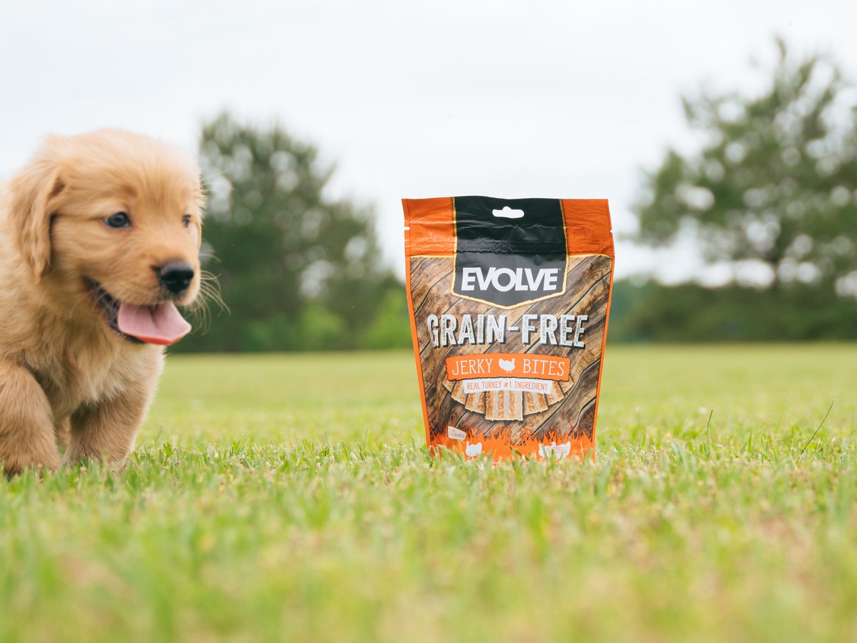 Start them out on the good stuff when they are young! Our Jerky Bites are moist &amp; chewy and break easy so they make the perfect training treat! Find all three flavors Salmon, Turkey, and Duck here 👉 bit.ly/427cWr8

#EvolvePets #ChooseEvolve #PuppyPower