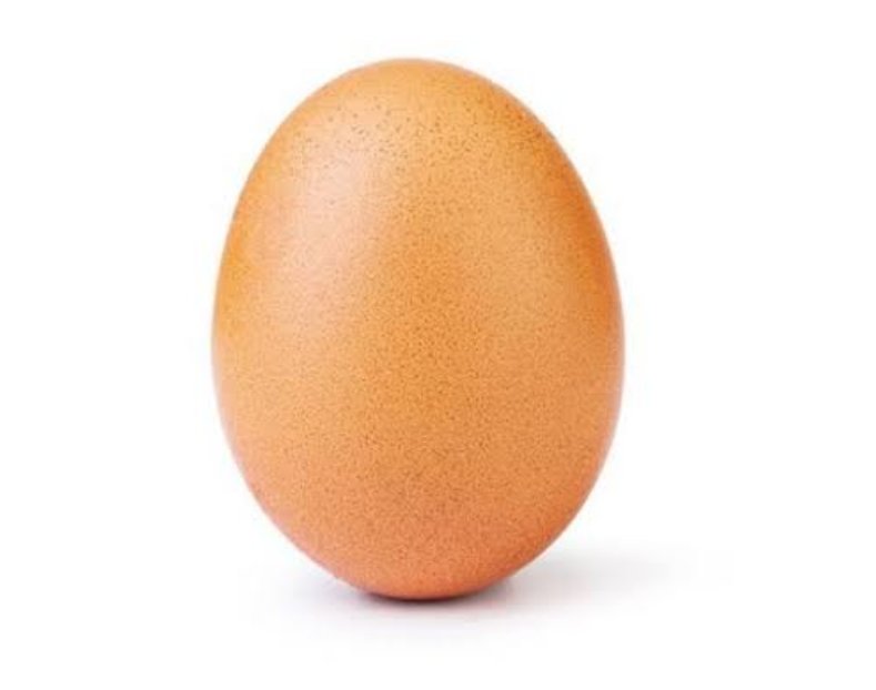 seezas95's tweet photo. @MrBeast https://t.co/O4apf0dtMc