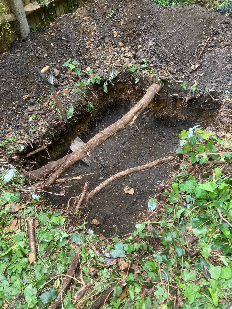 Lambeth TCV tweet media