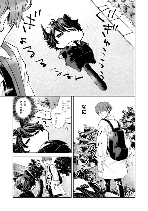 (2/6)