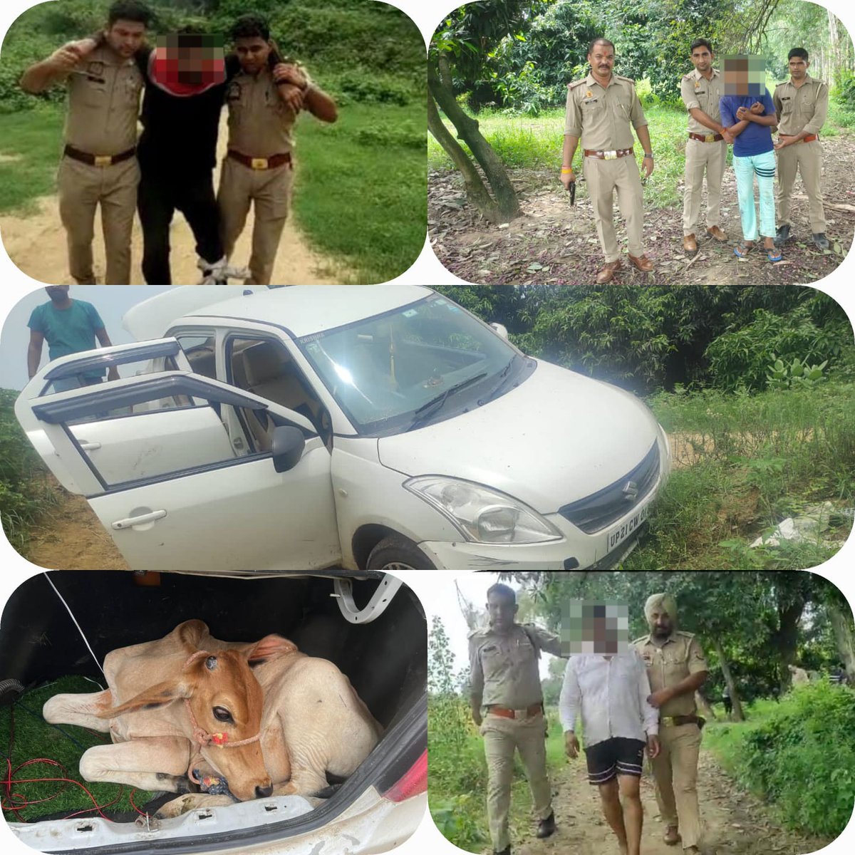 amrohapolice's tweet image. #CrackDownUPP
थाना सैदनगली/SOG/सर्विलांस पुलिस टीम की गोतस्करों से मुठभेड़,
जवाबी फायरिंग मे 01 अंतर्राज्यीय गोतस्कर घायल/गिरफ्तार, 
02 अन्य बदमाशो को भी किया गिरफ्तार, 
मौके से एक जिन्दा बछडा, उपकरण, 
संदिग्ध स्विफ्ट डिजायर गाड़ी व अवैध असलहा/कारतूस बरामद

#UPPolice
#GoodWorkUPP