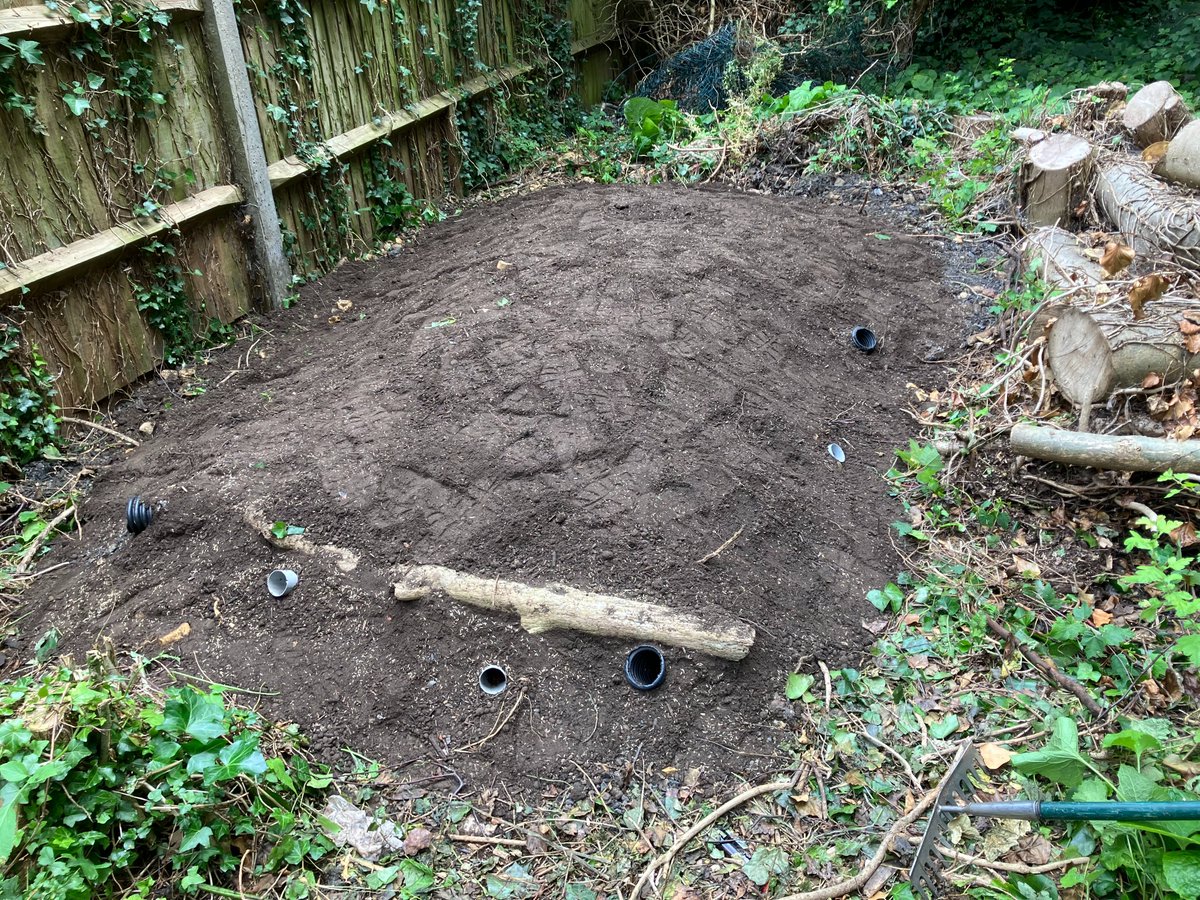 Lambeth TCV tweet media