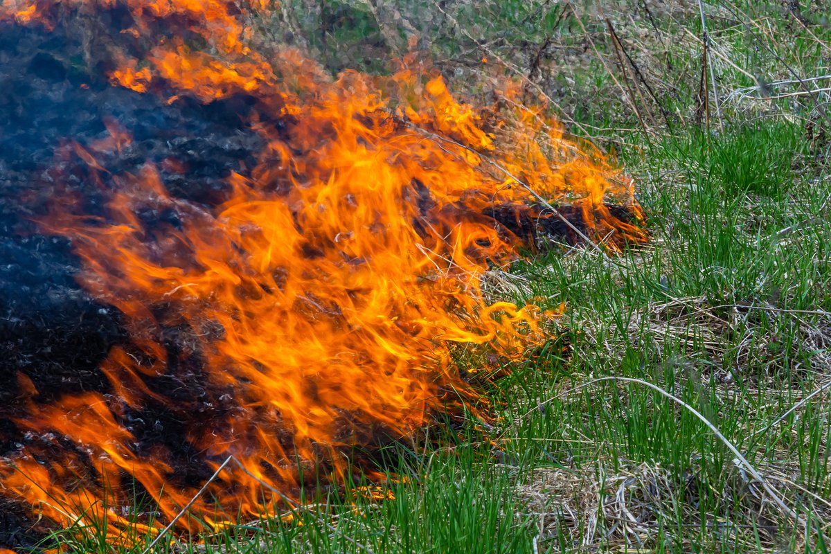 BBQs or any form of open fire are not permitted in our parks or green open spaces due to the severe risk of causing an accidental fire that could destroy wildlife and landscapes and be a danger to visitors and surrounding properties...