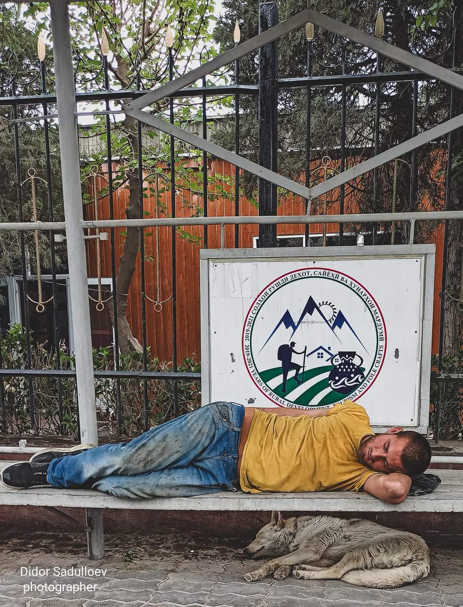 True friend 🐕
 Photo: Didor Sadulloev