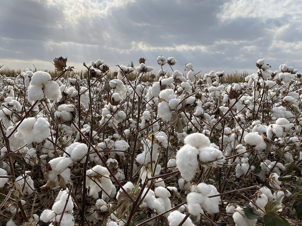 Economic Daily, China on Twitter "Do you know all this knowledge about