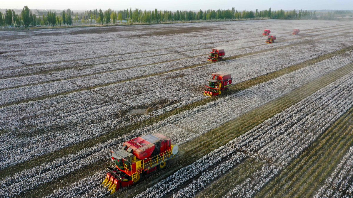 Economic Daily, China on Twitter "Do you know all this knowledge about