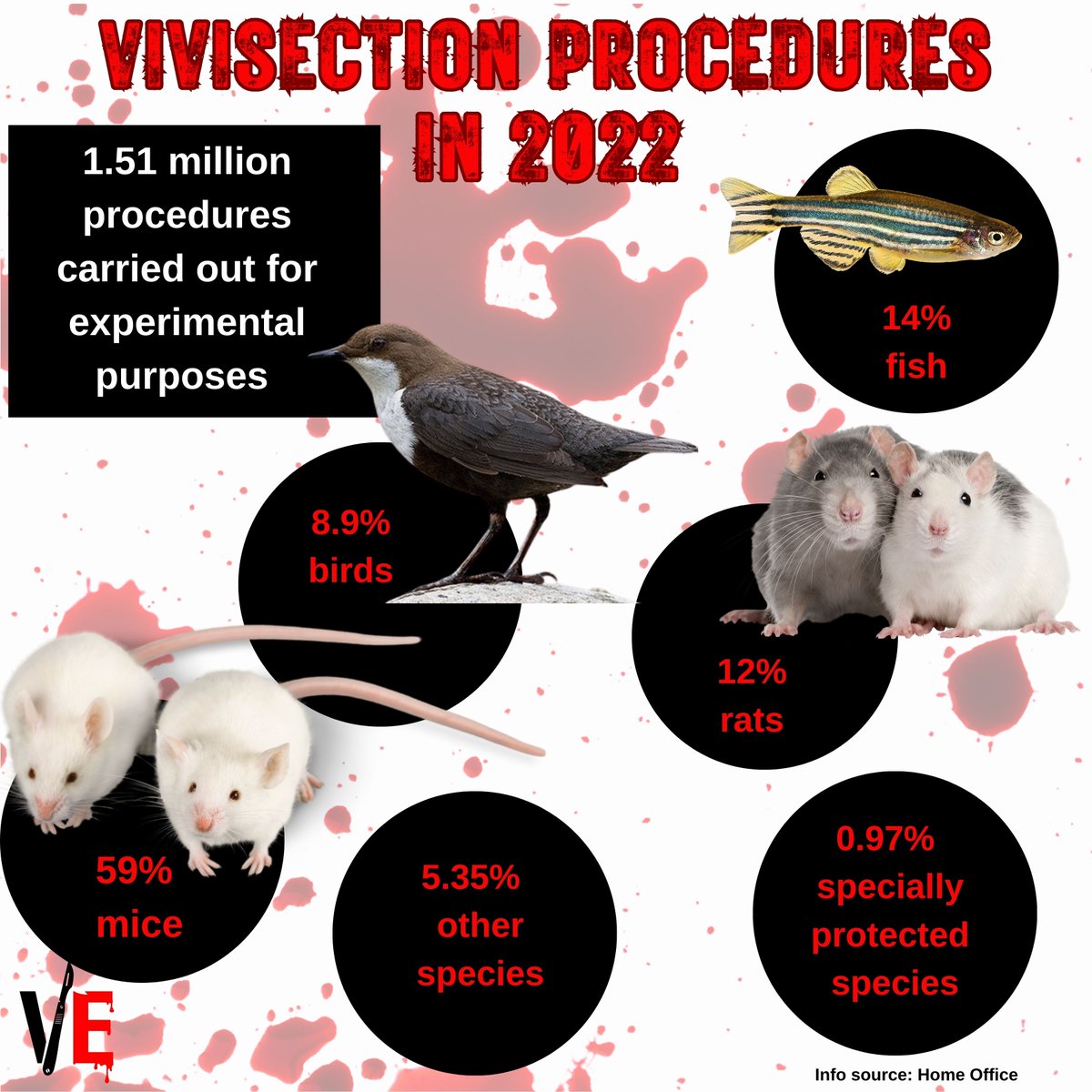 Statistics of scientific procedures on living animals, Great Britain: 2022
Short link to the stats - rb.gy/pm37q