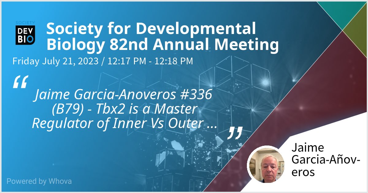 JaimeAnoveros's tweet photo. I am speaking at Society for Developmental Biology 82nd Annual Meeting. Please check out my talk if you're attending the event!  - via #Whova event app https://t.co/B6watNFMdH