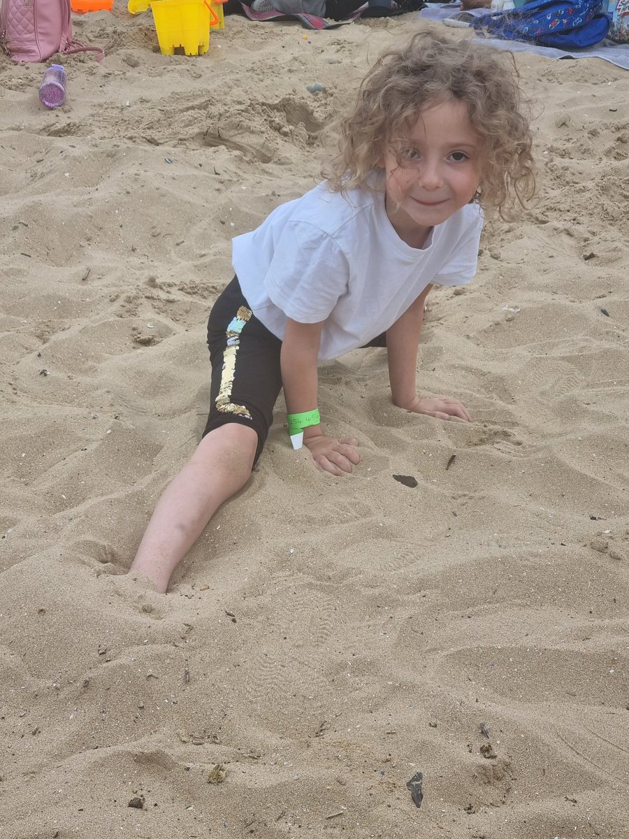 Foxfield Year 1 Pine tweet media