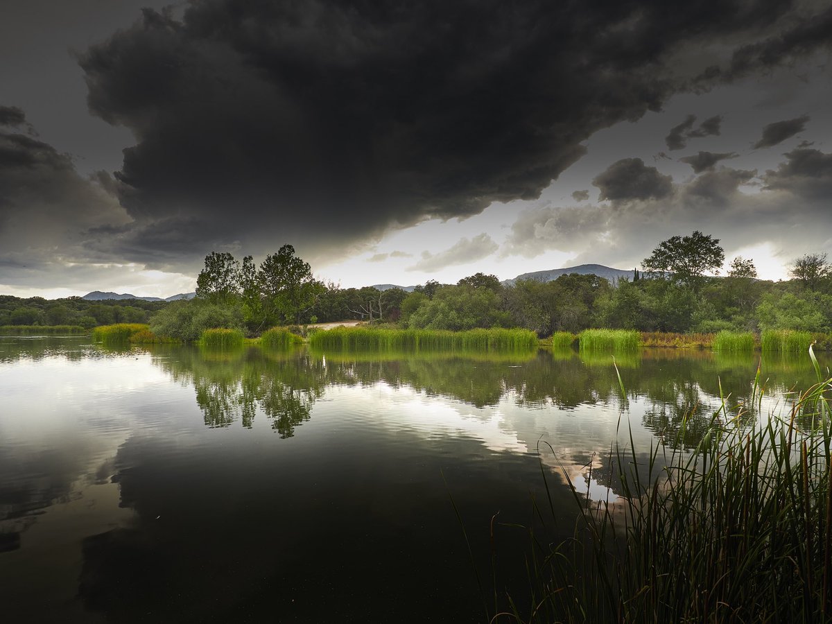 ¿Alguien tan enamorado de las cámaras y opticas de Olympus y <a href="/esolympus/">OM Digital Solutions</a> 
como estoy yo?😀📸📸