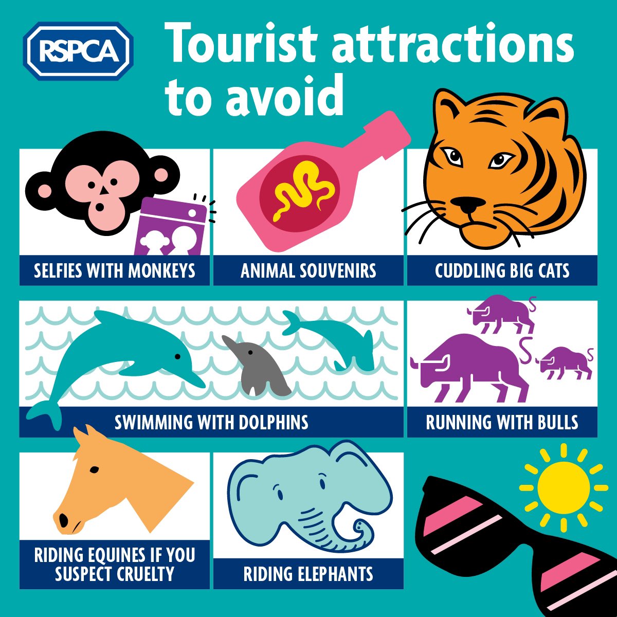 RSPCA Public Affairs (@rspca_pateam) on Twitter photo 🐬🐘 We are very pleased the Animals (Low-Welfare Activities Abroad) Bill passed its second reading in the House of Lords this morning ✅
👏 Great to hear contributions from <a href="/SueHayman1/">Sue Hayman</a> <a href="/RichardHRBenyon/">Richard Benyon</a> <a href="/HodgsonFiona/">fiona hodgson</a> 🐬🐘 We are very pleased the Animals (Low-Welfare Activities Abroad) Bill passed its second reading in the House of Lords this morning ✅
👏 Great to hear contributions from <a href="/SueHayman1/">Sue Hayman</a> <a href="/RichardHRBenyon/">Richard Benyon</a> <a href="/HodgsonFiona/">fiona hodgson</a>