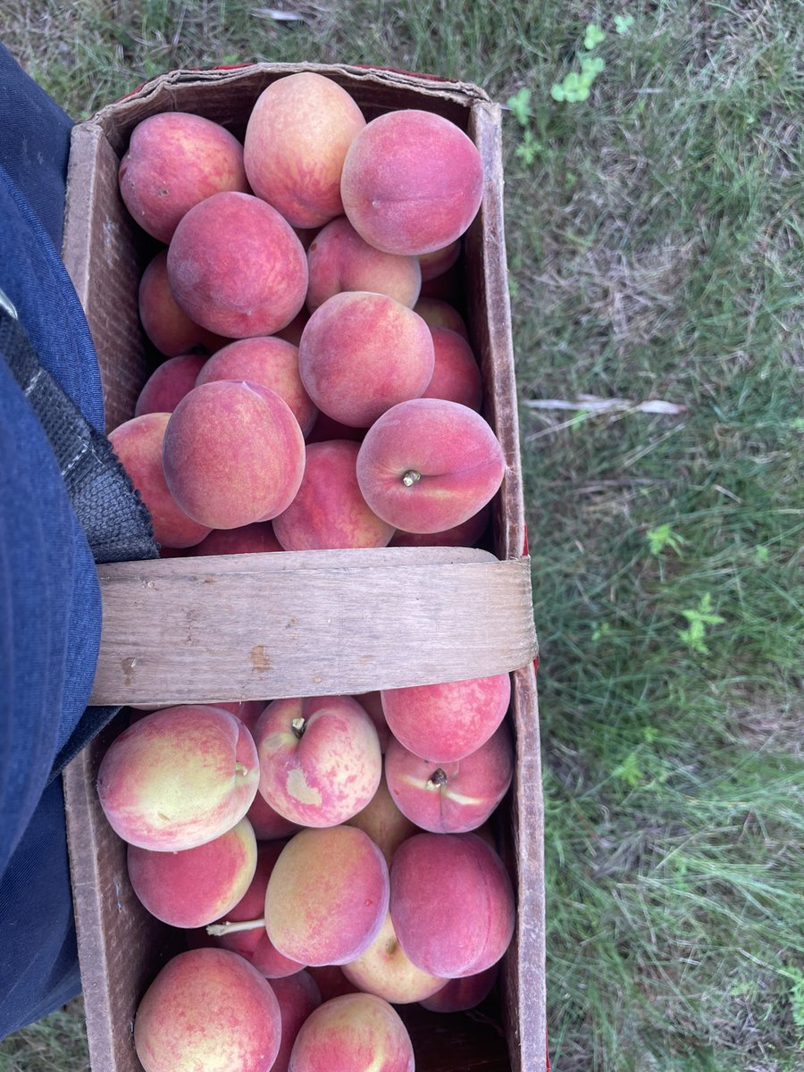 brian rideout tweet media