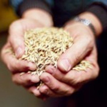 Virgili7's tweet photo. Vet aquí la recomanació de llengua catalana del 16 de juliol.

Una EMBOSTA o ALMOSTA és la quantitat d'alguna cosa que cap en la conca de les dues mans juntes.

Us agrairé molt que feu córrer aquests tweets, fets per a divulgar el #boncatalà. https://t.co/QvDGq5kpzw