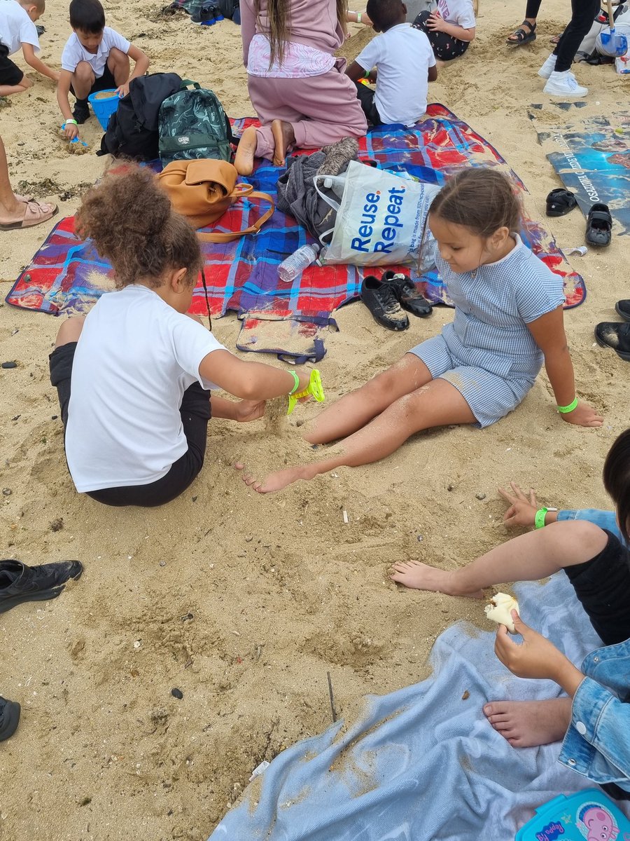 Foxfield Year 1 Pine tweet media