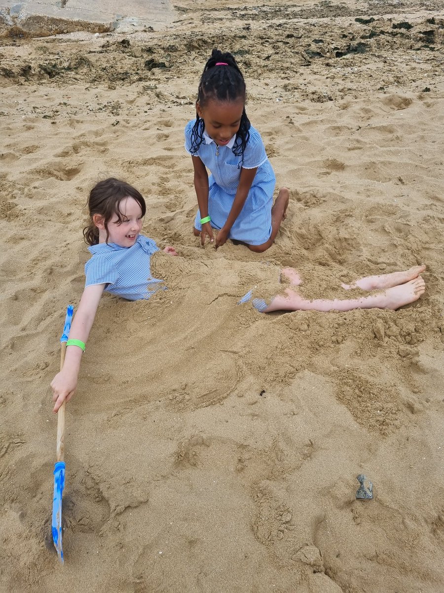 Foxfield Year 1 Pine tweet media